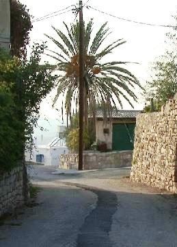 Click Here to go to our Stavrokonnou Village page.